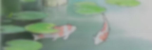 ★gallery★